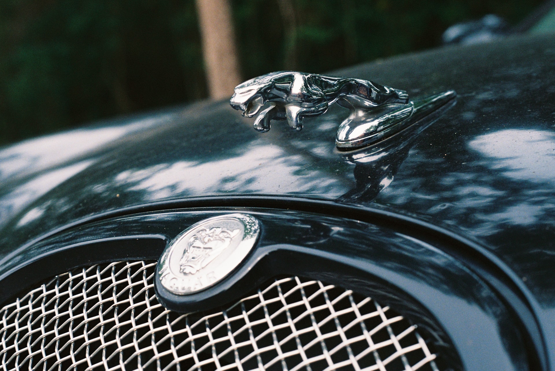 Эмблема Jaguar из США, пригон авто в РФ